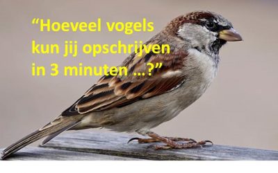 “Hoeveel vogels kun jij opschrijven in 3 minuten …?”